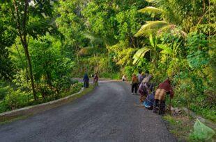 Warga Padukuhan Kembang melaksanakan gotong royong merawat alam jelang Muswil VIII LDII DIY